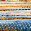 山東規模大的灌漿膜生產基地，涂覆膜生產廠家