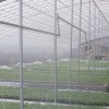 內蒙光伏太陽能溫室大棚——濰坊區域規模大的溫室大棚配件生產廠家