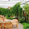 生態餐廳建設就找嘉潤農業——生態餐廳工程建設