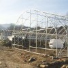 連棟溫室大棚建造 【薦】濰坊溫室大棚配件生產廠家資訊