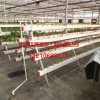 節能滴灌設備哪里有供應——供應節能滴灌設備