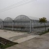 溫室大棚建設專家——專業溫室大棚建設嘉潤農業實力雄厚