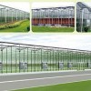 誠信的連棟溫室大棚建設山東提供    |青州連棟溫室大棚
