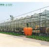 溫室大棚專業建設廠家|蔬菜溫室大棚造價