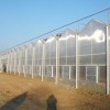 陽光板連棟溫室建設多少錢_溫室大棚配件生產廠家就找瑞科溫室