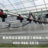 溫室配件價格行情-陜西溫室配件建造