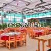 太好了、牛！園林景觀//園林景觀推薦@冬日暖陽