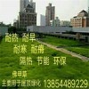 【節能！環保】金葉佛甲草種植；綠葉佛甲草出售；佛甲草基地；