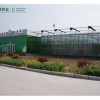 智能溫室大棚——建造溫室大棚就來明君農業