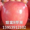 簡介: