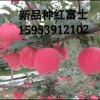 簡介: