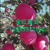 簡介:
