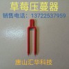 草莓壓莖叉，草莓定植叉，大棚草莓定植叉，大棚草莓壓蔓叉
