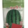 供應西瓜種子罐 福娃8號鐵罐專業定制