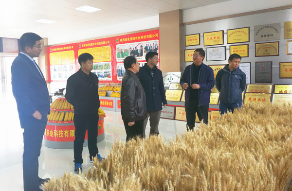 進行蘋果改良中心項目運行情況調研