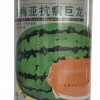 供應西瓜拉環種子罐 抗病巨龍鐵罐專業定制