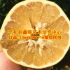 正宗葡萄柚苗批發|甜葡萄柚苗價格