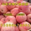 15266676002紅富士蘋果批發多錢一斤