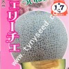 翡翠-日本進口優質網紋綠肉蜜瓜種子