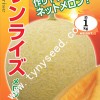 紅艷-日本進口特色黃皮黃肉網紋甜瓜種子