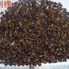 出售.刺槐種子.黃花槐種子.國槐種子等.現貨支持貨到付款