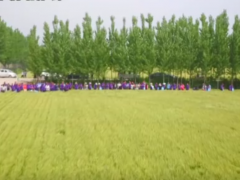 航拍-河南黃泛區地神種業有限公司小麥觀摩會 (?)