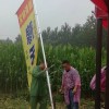 豫玉工作人員育種籌備觀摩會