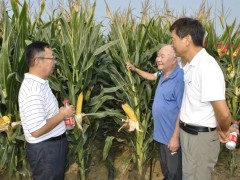 選寶景種子 圓豐收夢想 ——2018年度河南寶景農業百萬創富戰略研討會勝利召開！ (14?)