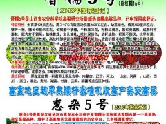 誠招有機肥種子銷售代表