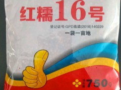 高粱種子 (7?)