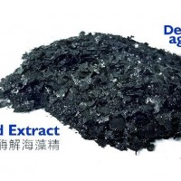 酶解海藻精生根壯苗促生長增產提品質