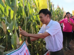 贏襄種業夢 豐收大中華——2018年順鑫大眾種業玉米新品種大型觀摩會