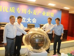 提升小麥質量效益 做強優質小麥產業 ——全國優質專用小麥聯盟聯盟啟動儀式在鄭州舉行 (18?)