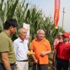 戴景瑞院士和陳偉程教授現場點評品種
