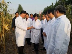 畝產841.48公斤！豐收節里話豐收，鄭原玉432顯身手 (6?)