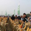 合作伙伴參觀新單58和新單61