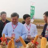 專家和領導現場觀摩