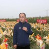 內蒙古通遼市農科院副院長、研究員張建華