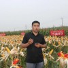 新疆華西種業黃淮海區域負責人林彥斌