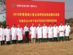 1821.6斤/畝！國審“豐德存玉10號”千畝方創造黃淮海玉米籽粒收高產記錄！ (10?)