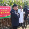 程相文研究員接受采訪