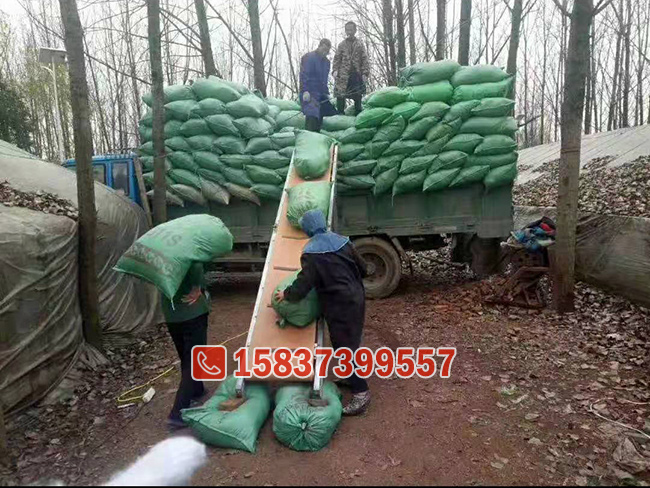 隨車折疊皮帶輸送機