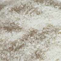 收購大量大米、碎米、糯米
