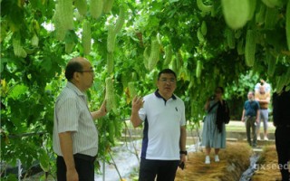 貴州省種子管理站到廣西考察調研種業工作