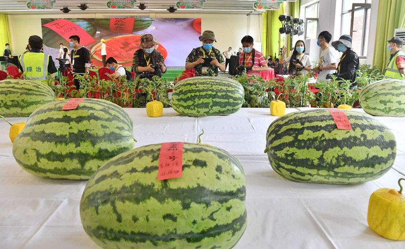 微信圖片_20200601133756_副本 微信圖片_20200601133756_副本