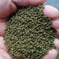 供應中花吳茱萸13元