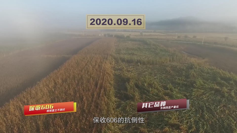 暴風截圖20201118479952