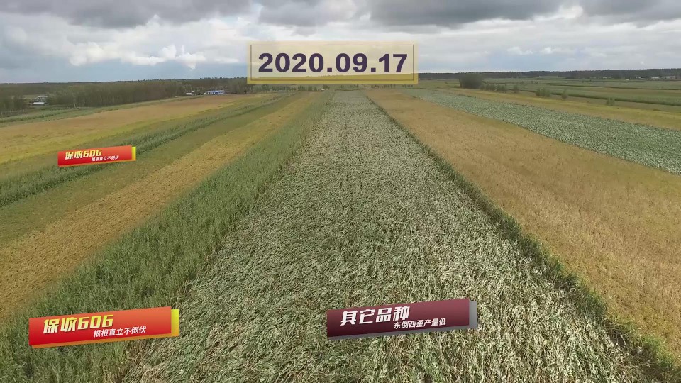 暴風截圖20201118498766