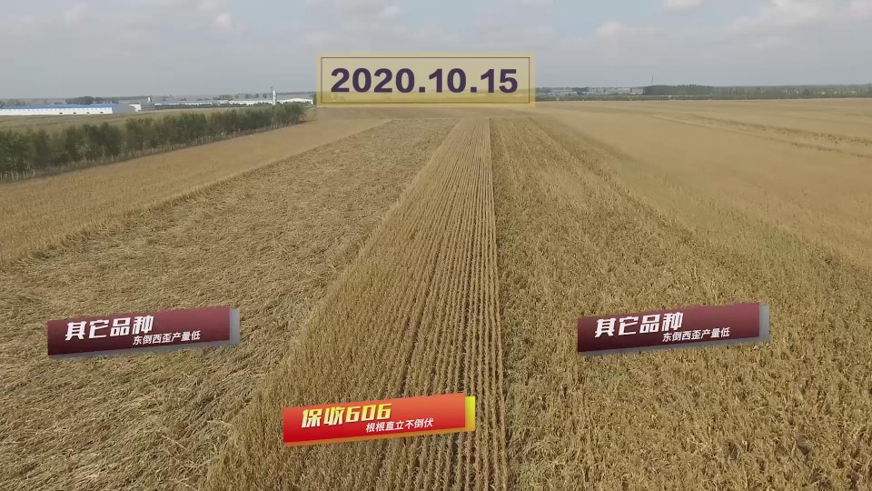 暴風截圖20201118508781