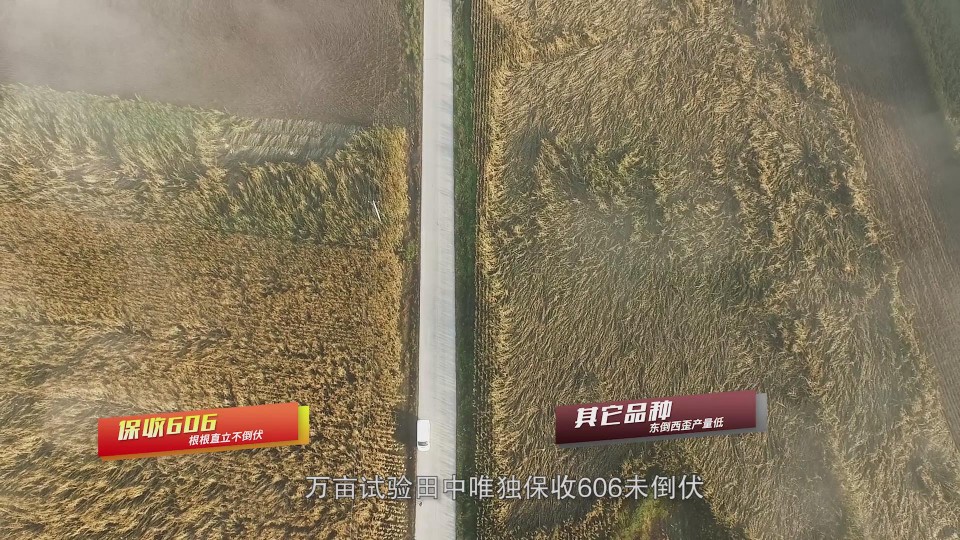 暴風截圖202011182577838